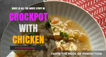 Chicken Stew Secrets: White Sauce Wonders