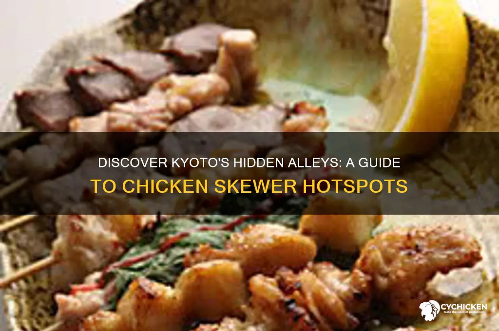 what is alley in kyoto for chicken skewers