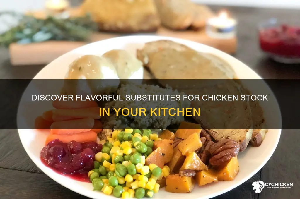 what is an alternative for chicken stock