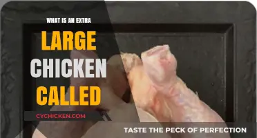 What’s an Extra Large Chicken Called? Discover the Surprising Name