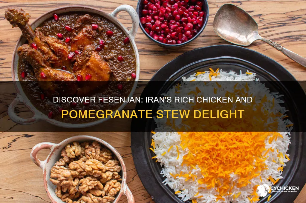 what is an irainian dish made with chicken