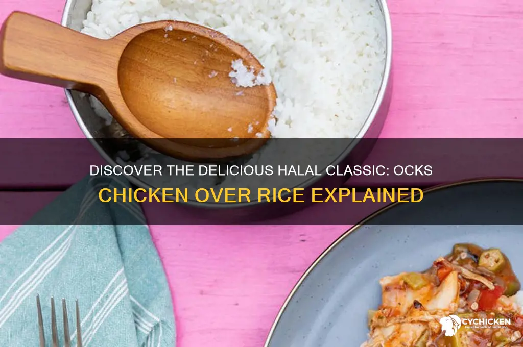 what is an ocks chicken over rice