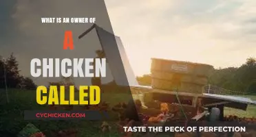 What Do You Call a Chicken Owner? A Poultry Title Guide