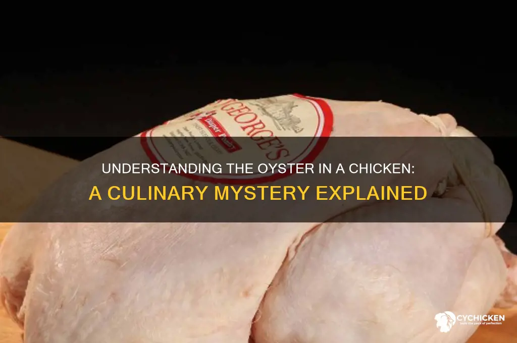 what is an oyster in a chicken