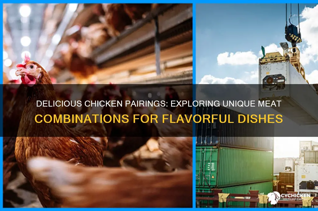 what is another meat combination with chicken