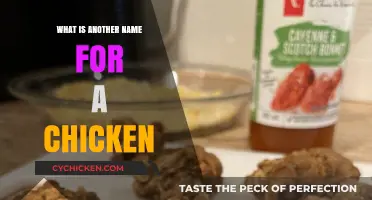 Cluck, Poultry, or Fowl: Exploring Alternative Names for Chickens