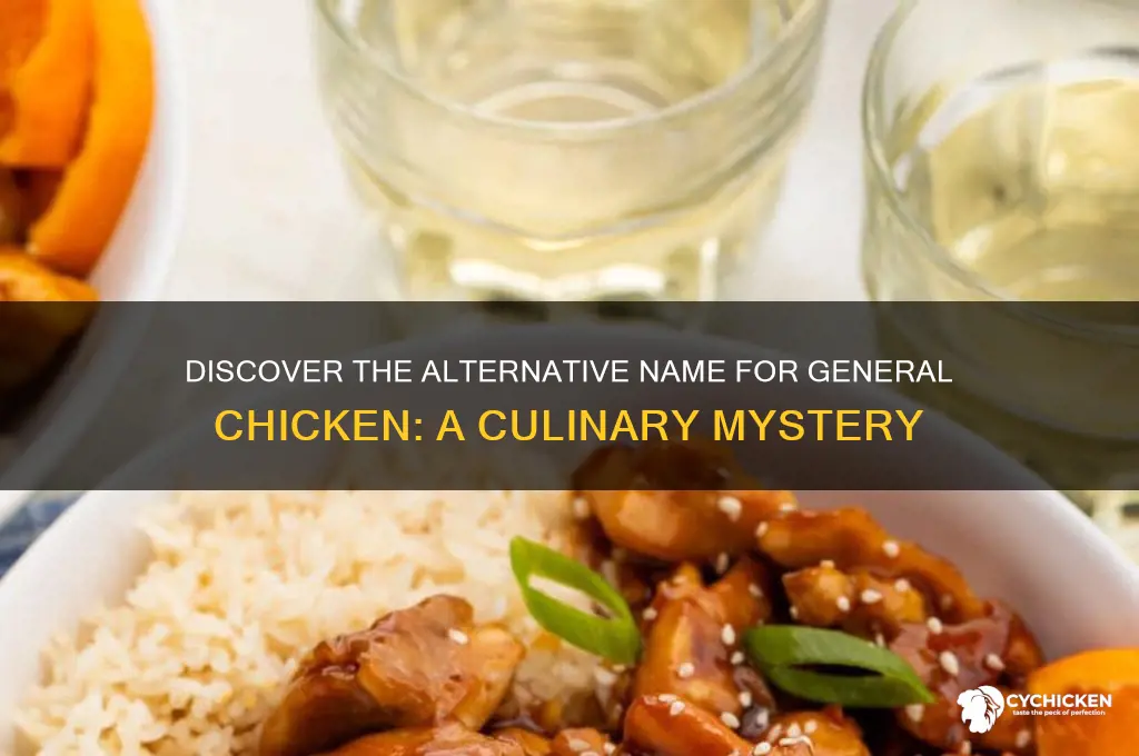 what is another name for general chicken