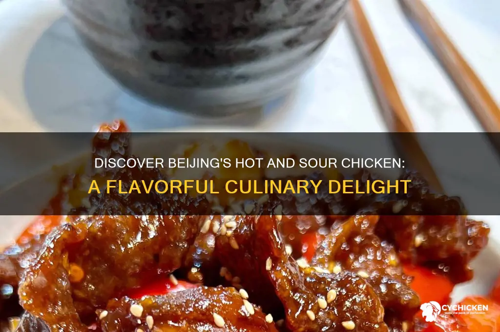 what is beijing style hot and sour chicken