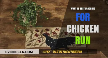 Top Flooring Options for a Clean, Safe Chicken Run