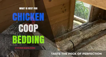 Cozy Quarters: The Ultimate Guide to Chicken Coop Bedding