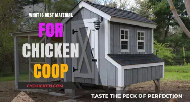 Building the Perfect Coop: A Guide to the Best Materials for Your Chickens
