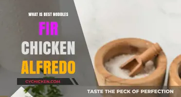 Perfect Pairing: Top Noodle Choices for Creamy Chicken Alfredo