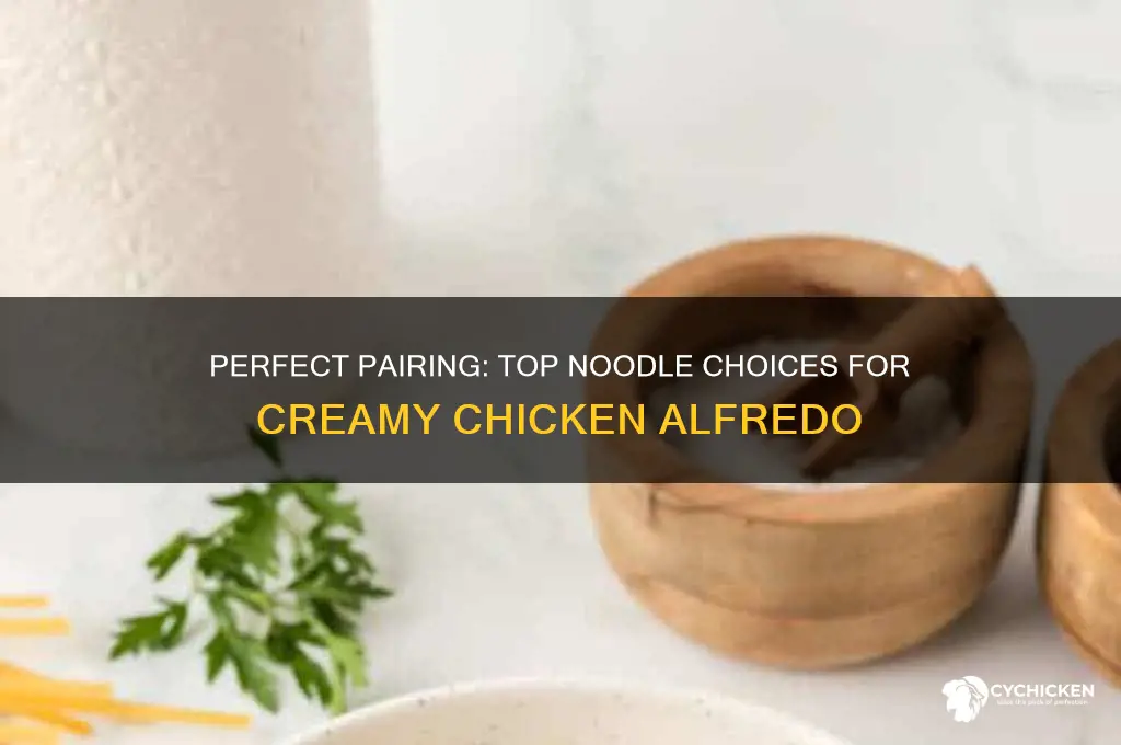 what is best noddles fir chicken alfredo