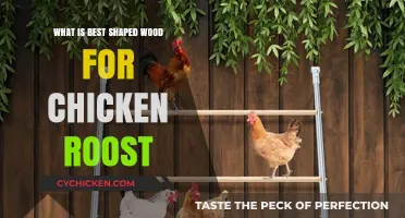 Choosing the Ideal Wood Shape for Comfortable Chicken Roosts