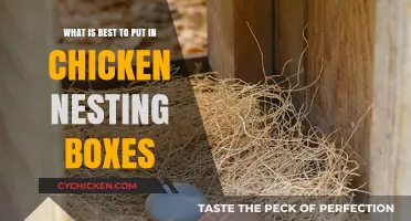 The Best Bedding for Chicken Nesting Boxes