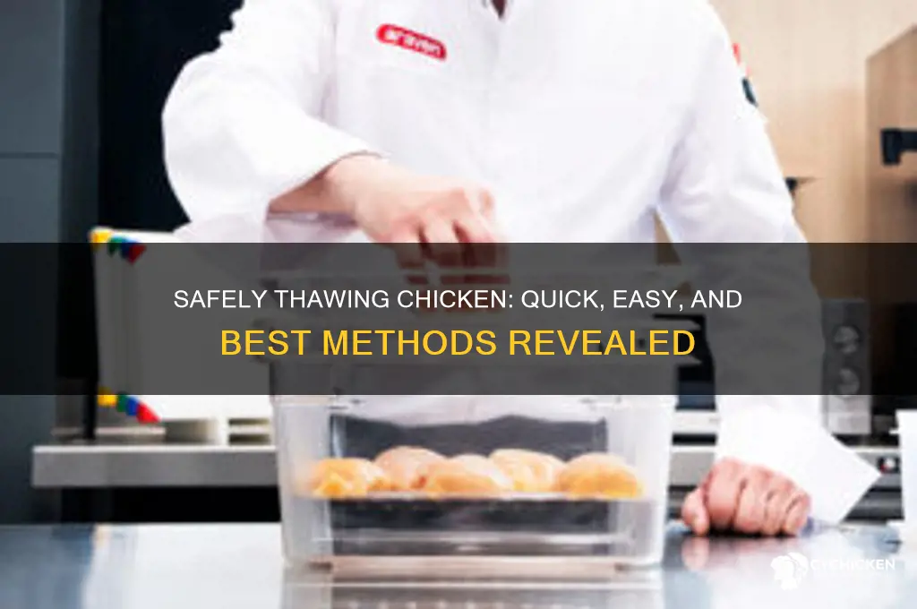 what is best way to thaw chicken
