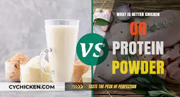 Chicken vs. Protein Powder: Which Muscle-Building Option Reigns Supreme?