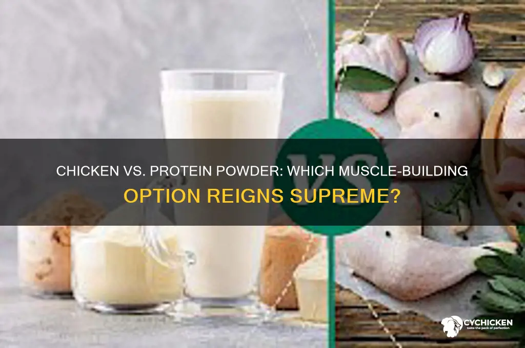 what is better chicken or protein powder