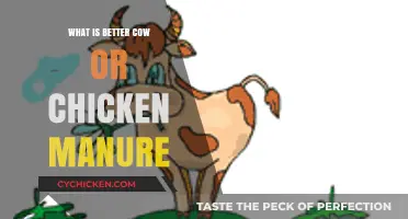 Cow vs. Chicken Manure: Which Fertilizer Boosts Your Garden Best?