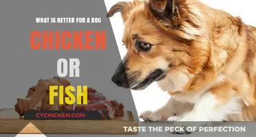 Chicken or Fish: Which is Better for Your Dog?