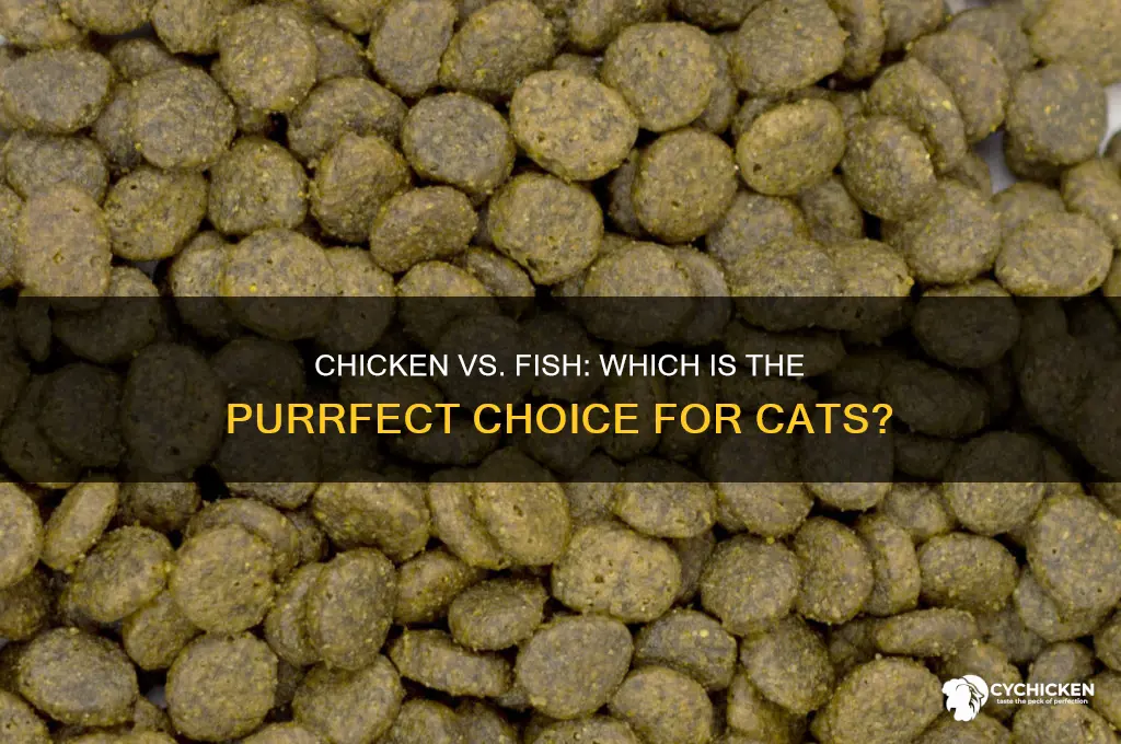 what is better for cats chicken or fish