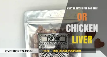 Chicken or Beef Liver: Which is Better for Your Dog?