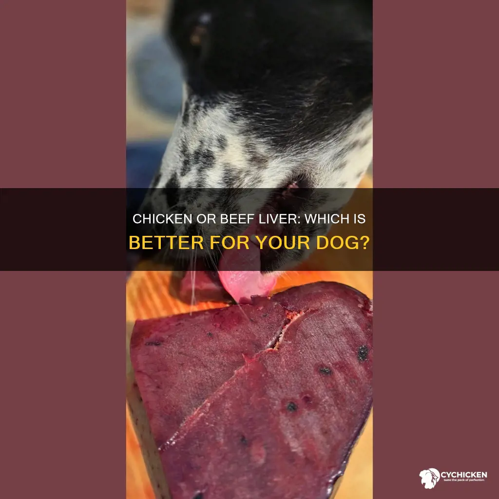 what is better for dog beef or chicken liver