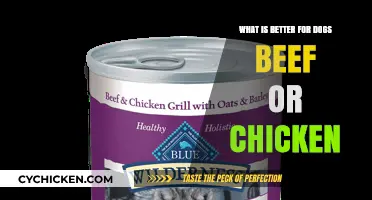 Beef vs. Chicken: Which Protein is Best for Your Dog?
