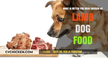 Chicken vs Lamb: Which Dog Food is Top Dog?