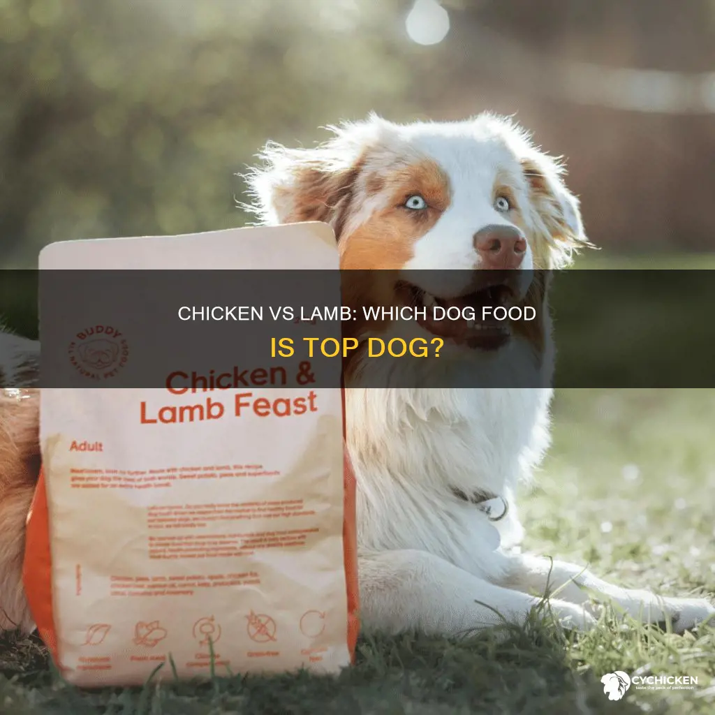 what is better for dogs chicken or lamb dog food