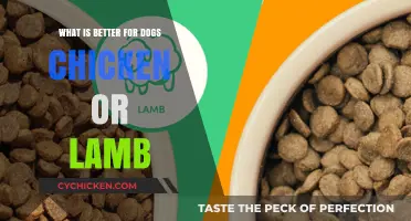 Chicken vs. Lamb: Which Protein is Best for Your Dog?
