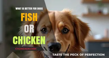Fish vs. Chicken: Which Protein is Best for Your Dog?