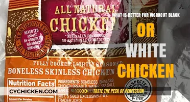 Black or White Meat: Which Chicken is Best for Workouts?