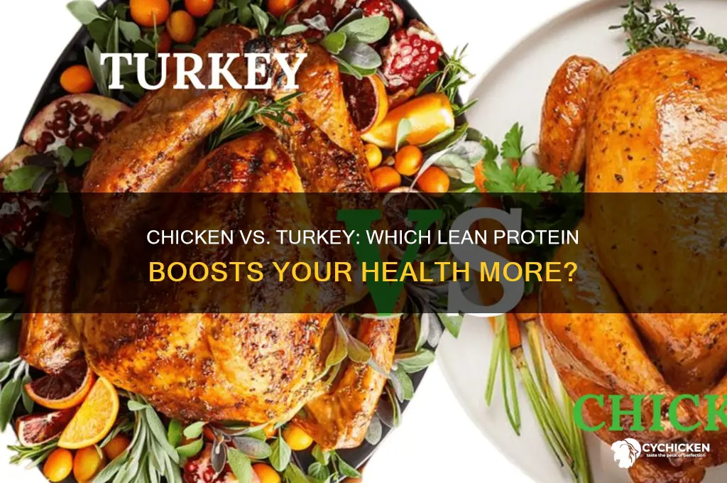 what is better for you chicken or turkey