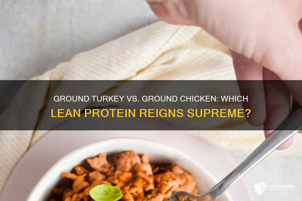 what is better ground turkey or ground chicken