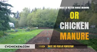 Horse vs. Chicken Manure: Which Fertilizer Boosts Your Garden Best?