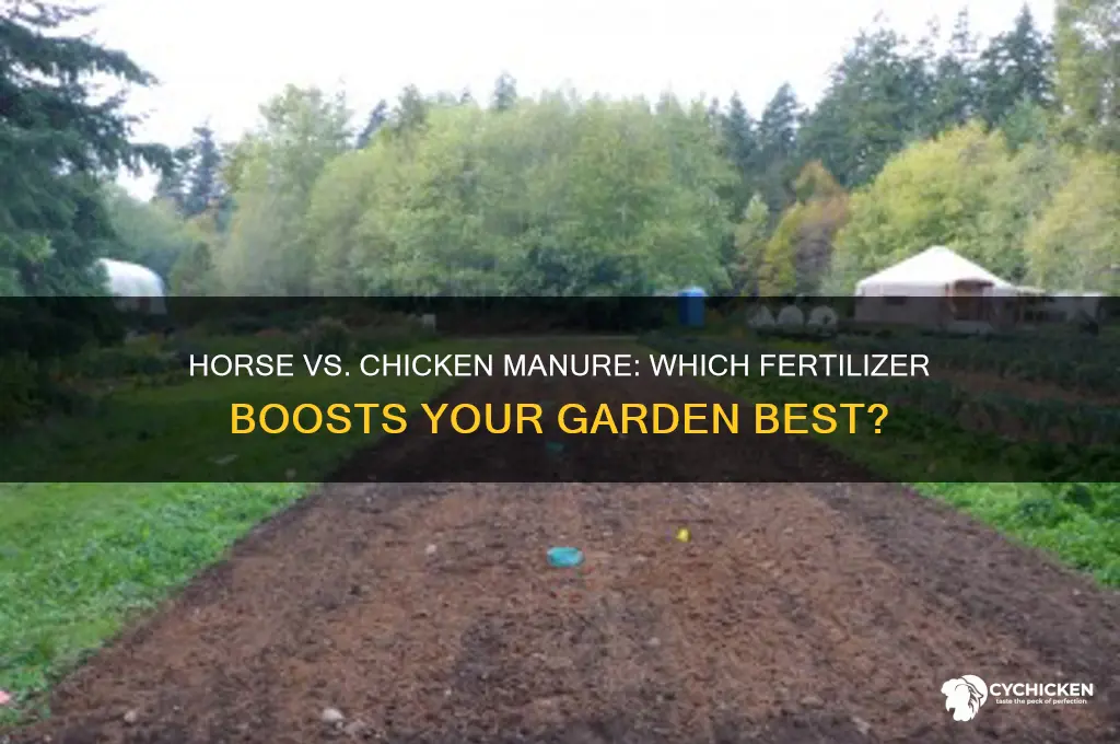 what is better horse manure or chicken manure