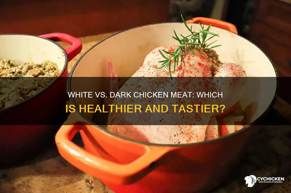 what is better white or dark chicken meat