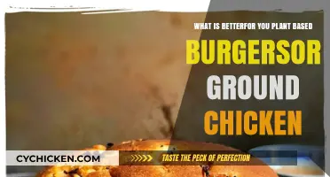 Plant-Based vs. Chicken Burgers: Which Is Healthier?
