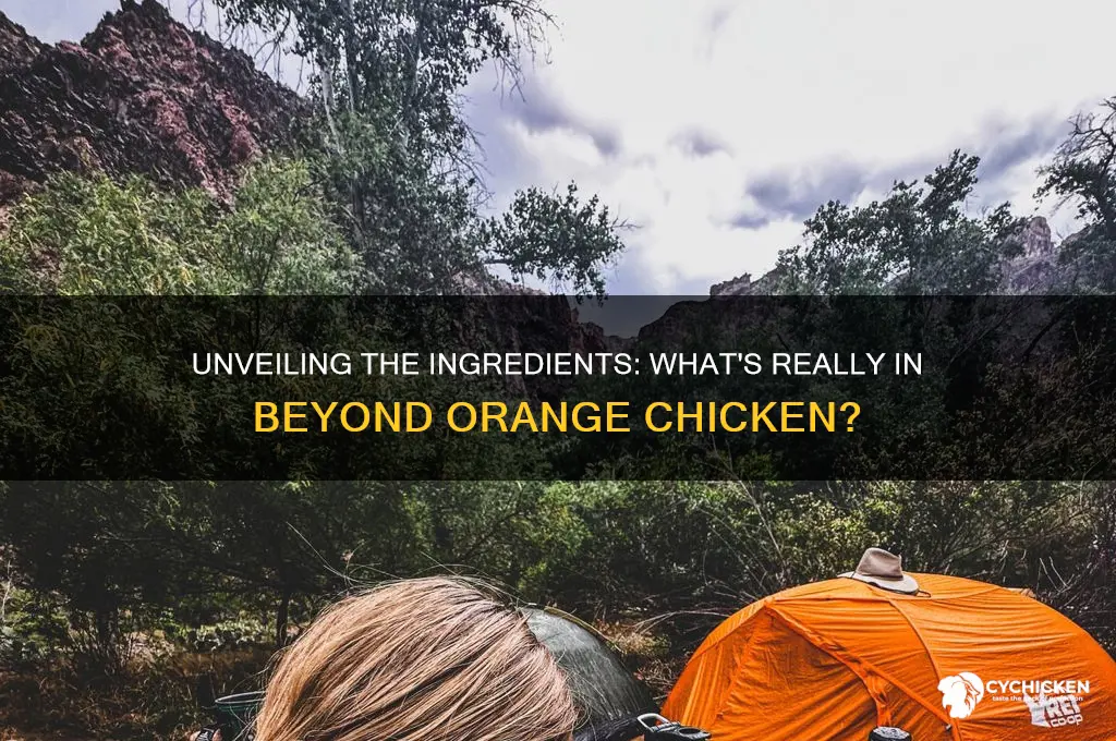 what is beyond orange chicken made of