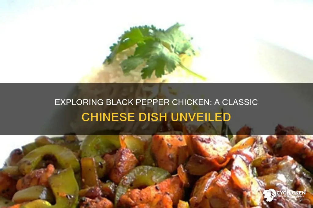 what is black pepper chicken chinese food