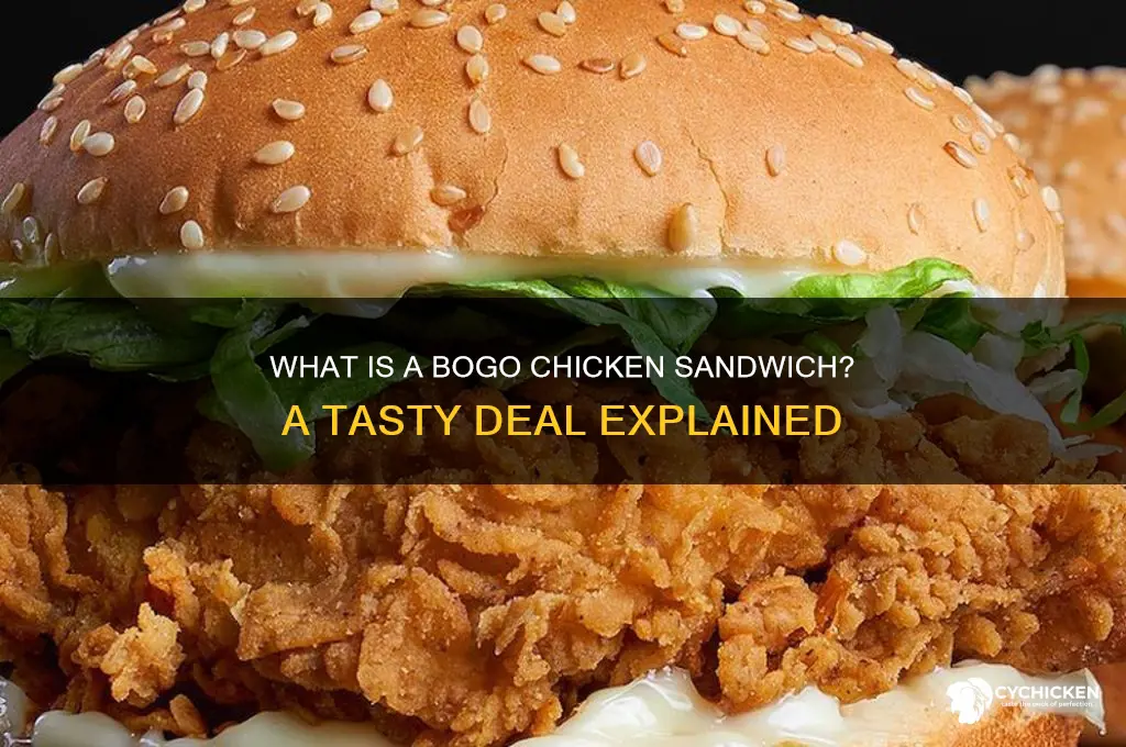 what is bogo chicken sandwich