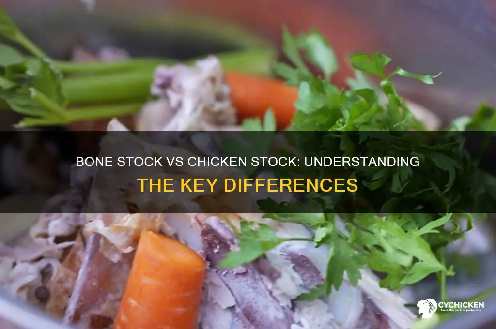 what is bone stock vs chicken stock