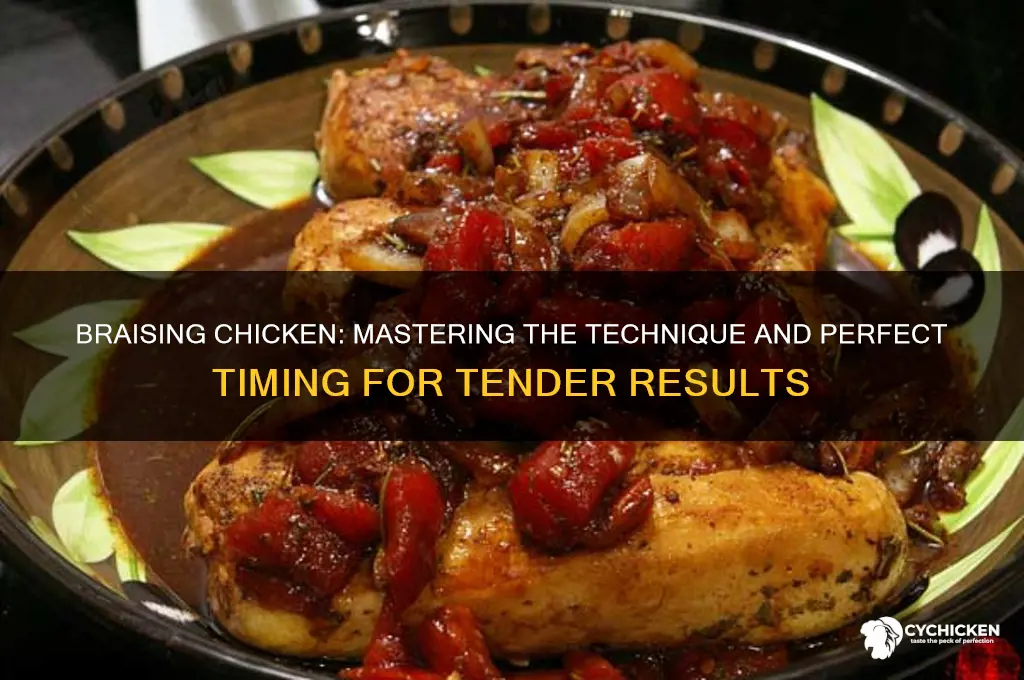 what is braising chicken and when to braise