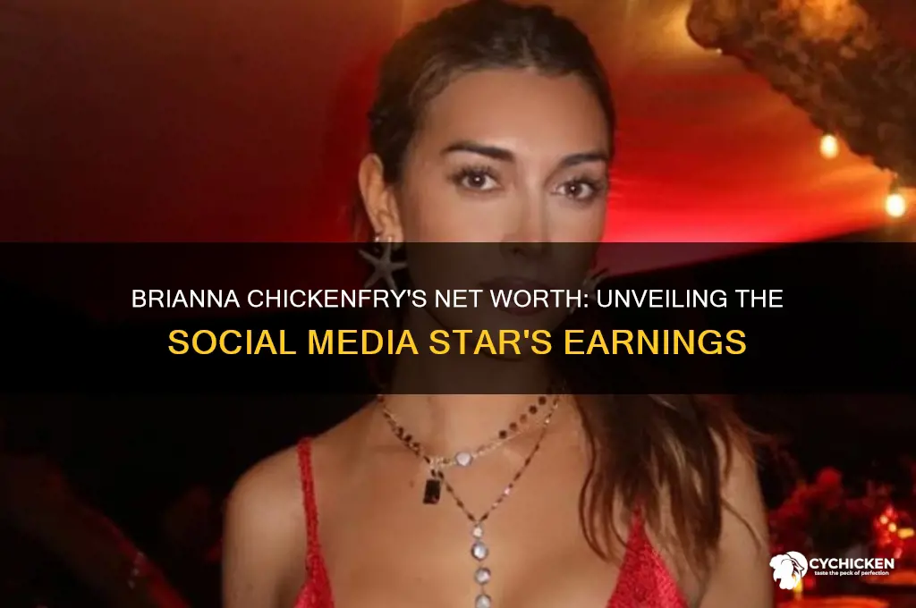 what is brianna chicken frys net worth