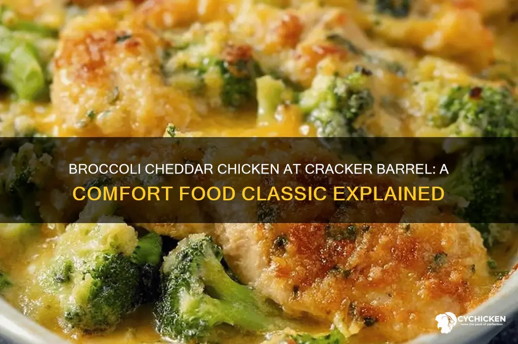 what is broccoli cheddar chicken cracker barrel