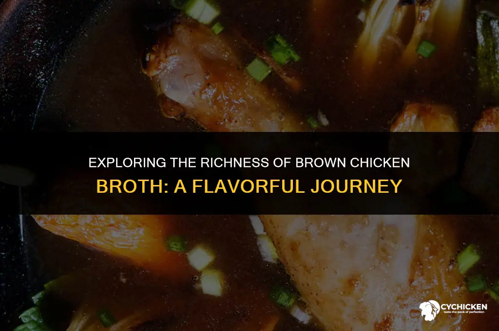 what is brown chicken broth