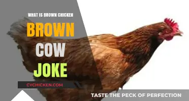 Unraveling the Humor: What's the Brown Chicken Brown Cow Joke?