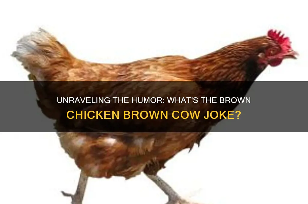 what is brown chicken brown cow joke