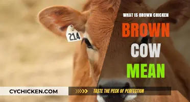 Unraveling the Meaning Behind 'Brown Chicken Brown Cow': A Full Explanation